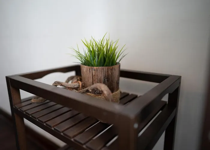 Am Kunstturm Apartment