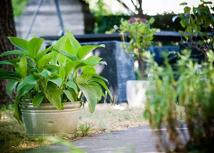 Appartement Am Kunstturm